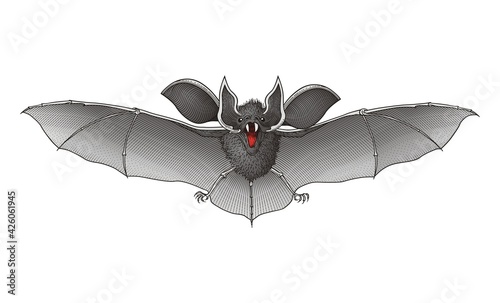 The Grey Bat vector #1037