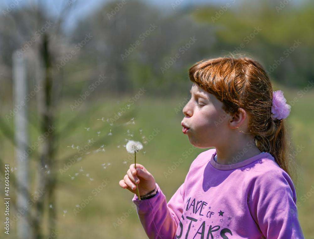 Bambina soffia sui petali di un fiore, con magliore rosa e capelli lunghi al vento Bambina soffia sui petali di un fiore, con magliore rosa e capelli lunghi al vento