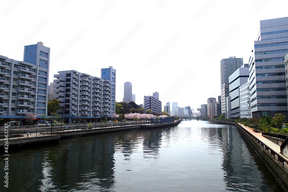 
Canal and cherry blossoms