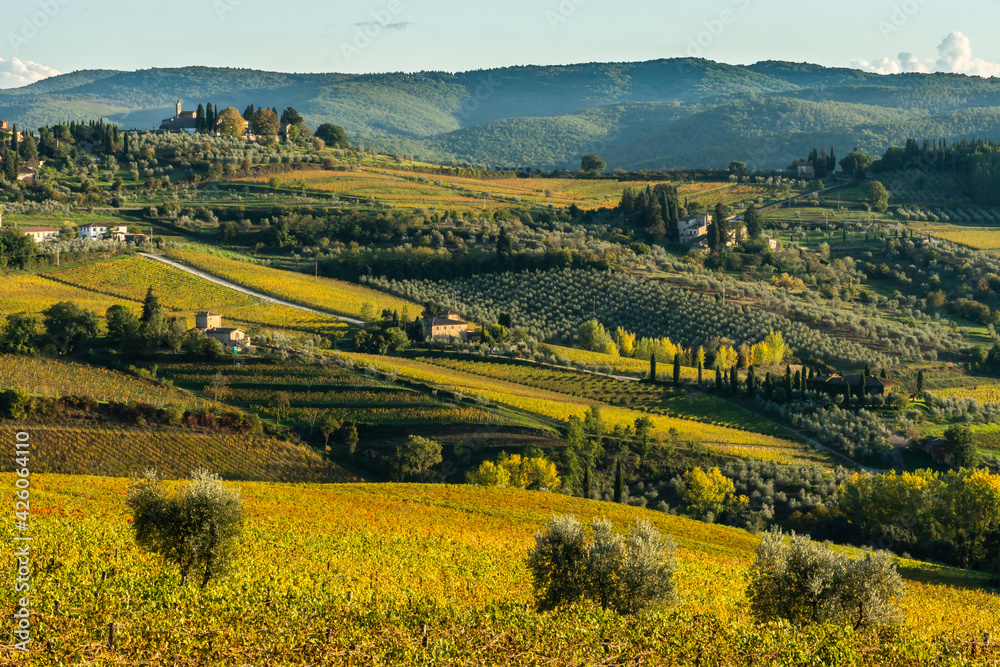 View of valley of Panzano in Chianti, patterned lines of vineyards, cypresses and olive trees with farmhouses, Tuscany, Italy View of valley of Panzano in Chianti, patterned lines of vineyards, cypresses and olive trees with farmhouses, Tuscany, Italy