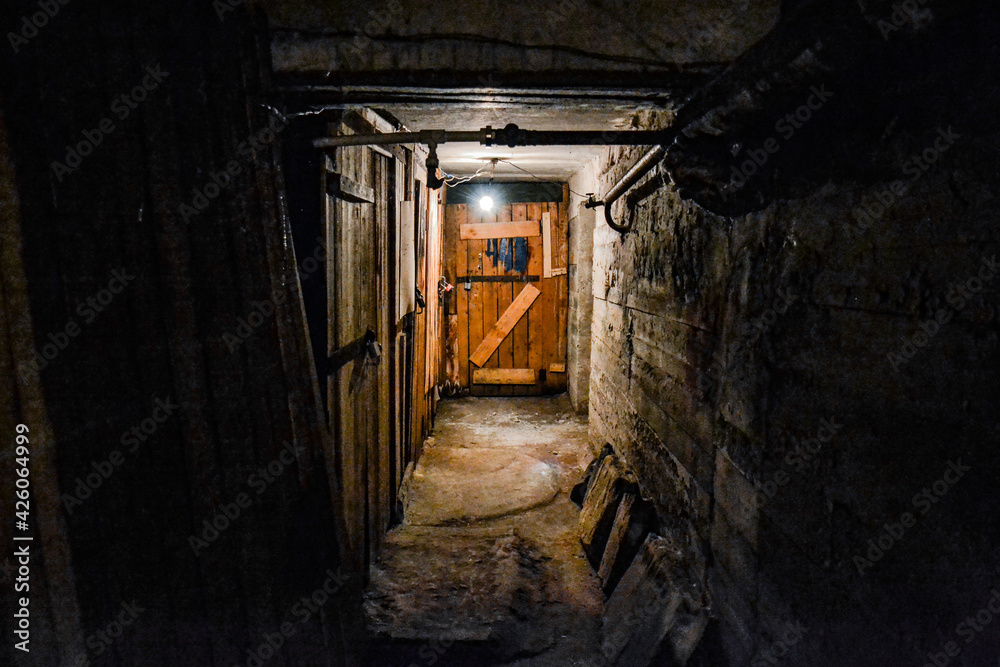 A scary dark concrete corridor in the basement, lit by a single light bulb hanging from the low ceiling. At the end of the corridor is a boarded-up wooden door