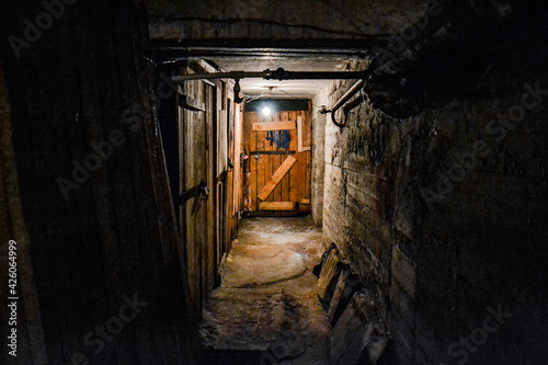 A scary dark concrete corridor in the basement, lit by a single light bulb hanging from the low ceiling. At the end of the corridor is a boarded-up wooden door