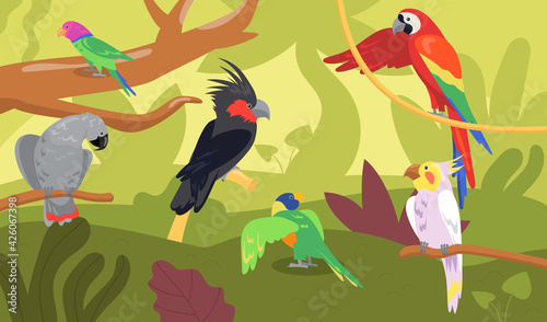 Different kinds of parrots in forest or jungle. Wild tropical birds, exotic multicolored ara, macaw flat cartoon vector illustration. Wildlife, jungle fauna concept