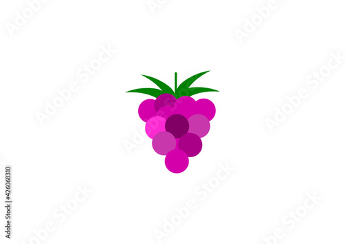 Symbol einer Himbeere