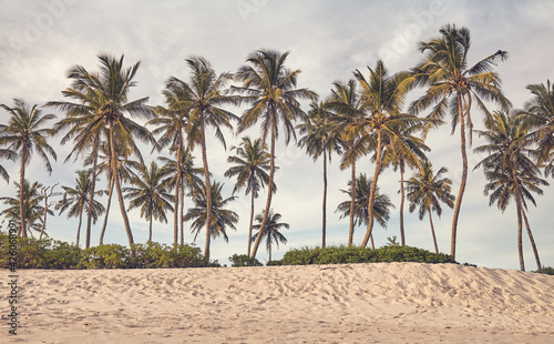Tropical beach with coconut palm trees at sunset, color toning applied.