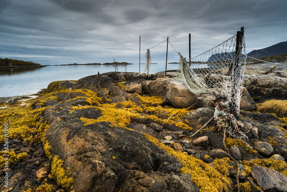 Seaweed covered rocks and hanging fishing nets at low tide, west Senja, Norway, Scandinavia Seaweed covered rocks and hanging fishing nets at low tide, west Senja, Norway, Scandinavia