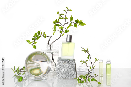 Natural Green laboratory. Abstract floral arrangement. Grey granite podium with product in transparent glass vial. Reflections of leaves distorted in water. Springtime green twigs in jars, tubes.