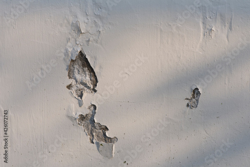 Abstract gray shadow background of natural leaves tree branch falling on white wall texture for background and wallpaper