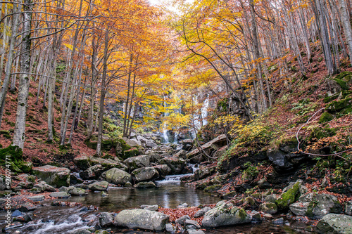 Autumn woods and waterfall in the background, Dardagna Waterfalls, Parco Regionale del Corno alle Scale, Emilia Romagna, Italy photo