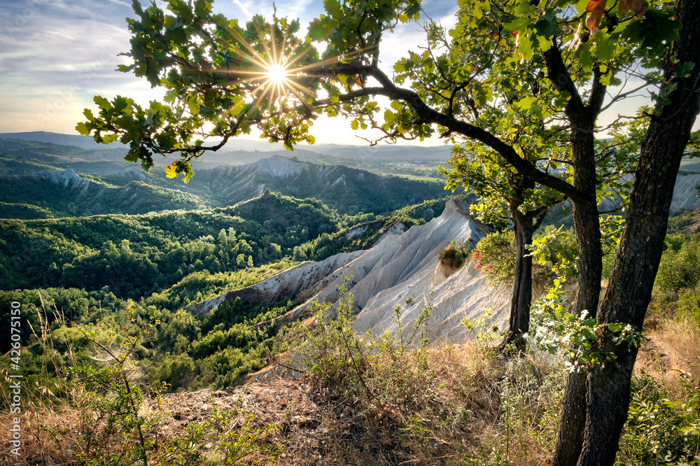 Badlands and green hills framed by trees and a sunburst, Emilia Romagna, Italy Badlands and green hills framed by trees and a sunburst, Emilia Romagna, Italy