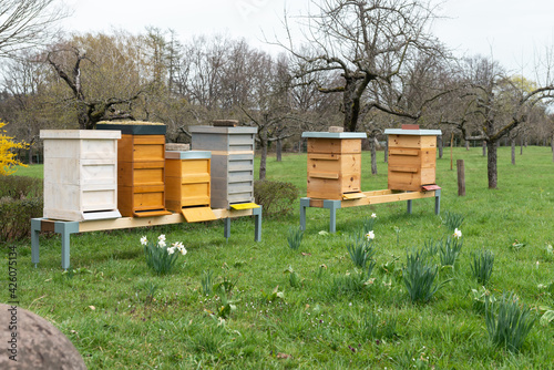 beehive spring honey © R. S.