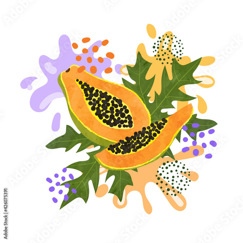 Papaya fruit vector illustr...