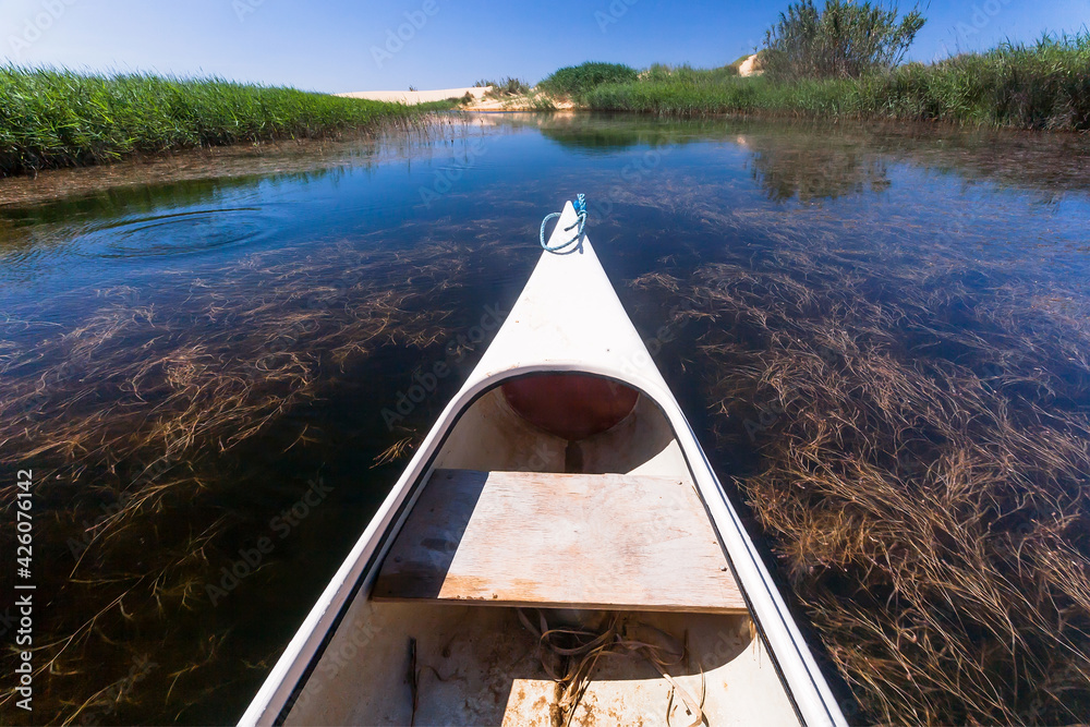 Fototapeta premium Boat sails along a quiet backwater of the river between the reeds