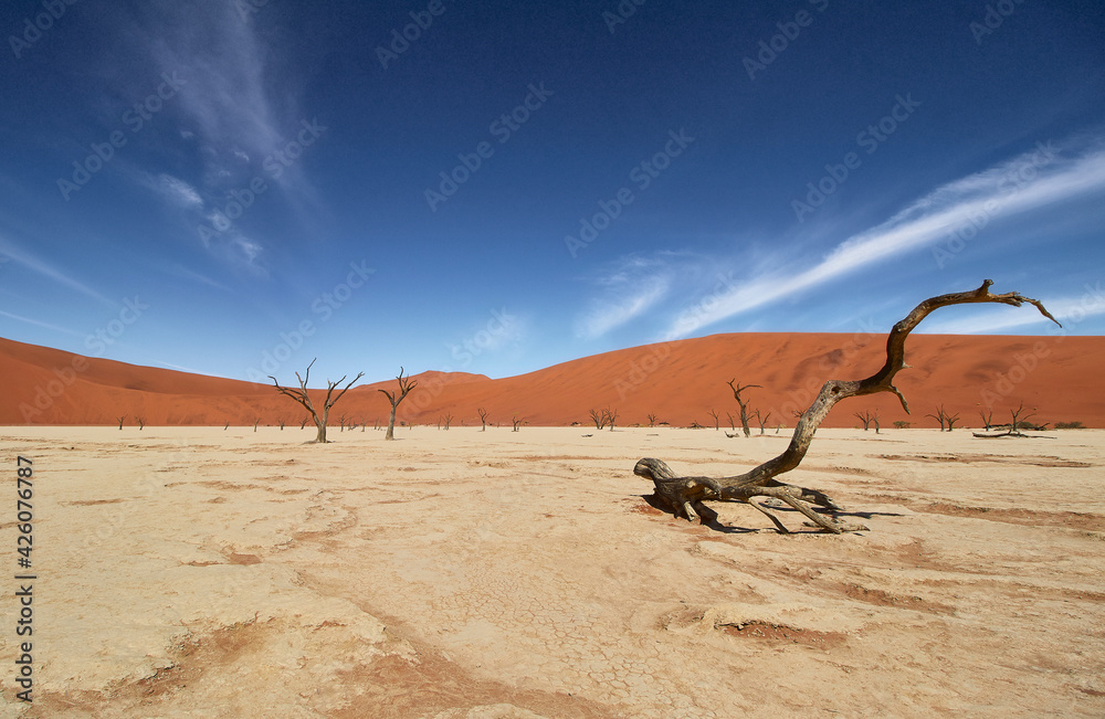 © robertharding - Deadvlei, near Sossusvlei, a dry lake with dead trees in the desert made of red sand dunes, Namib Desert, Namibia