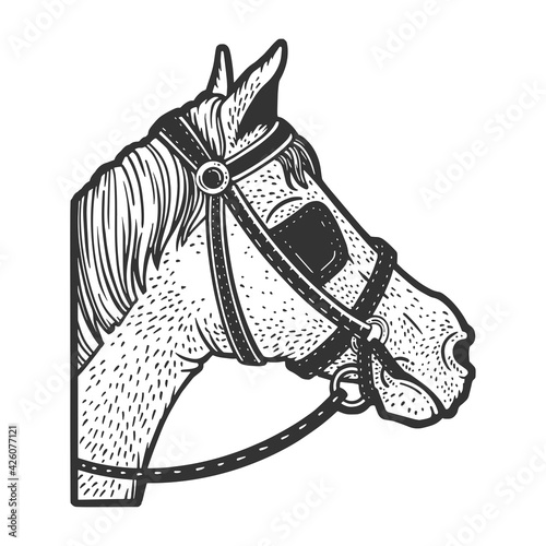 Blinkers horse tack on horse eyes sketch engraving vector illustration. T-shirt apparel print design. Scratch board imitation. Black and white hand drawn image.