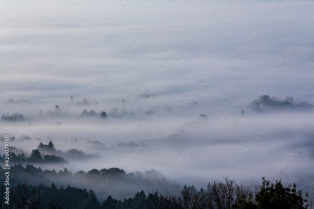 三ツ石森林公園雲海たなびく夜明けの霞ヶ浦