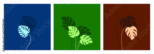 Multicolored vector set of monstera deliciosa leaves