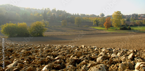 The hills of Piedmont in the province of Alessandria are very gentle with ancient villages and glimpses of the Alps