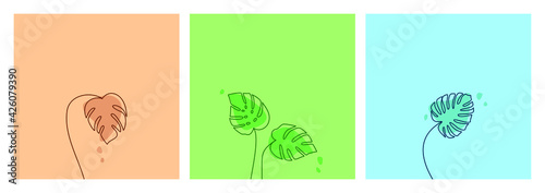 Multicolored vector set of monstera deliciosa leaves