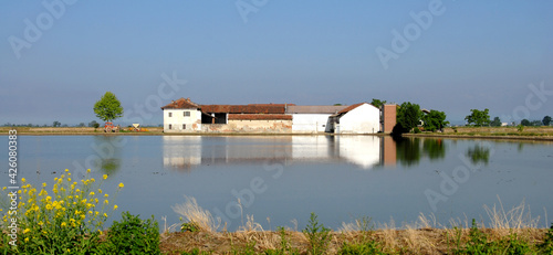 Photos Flooded paddy field of Piedmont where in the month of May the province of Vercelli is a mirror of water with beautiful reflections and colors
