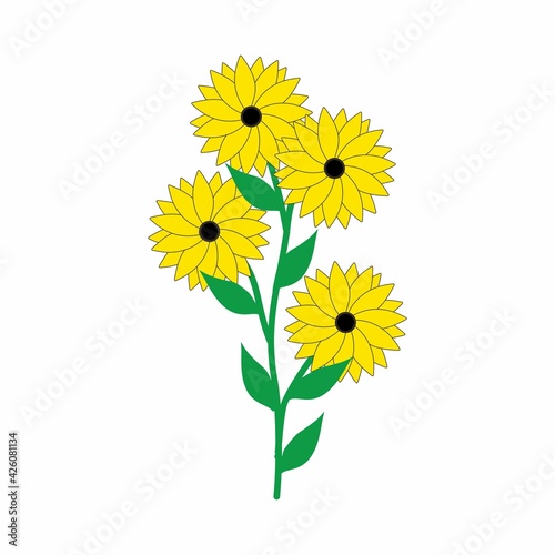 Sun Flower Illustration Vector isolated on white background