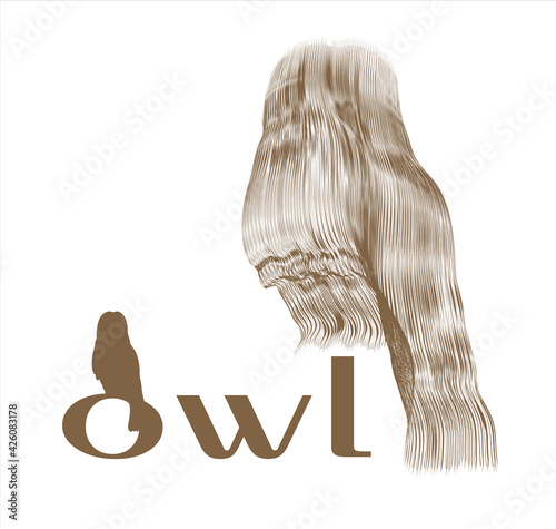 The owl is drawn with lines. Abstraction