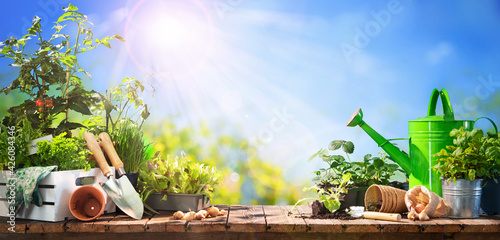 Gardening tools and seedlings on wooden table outdoors