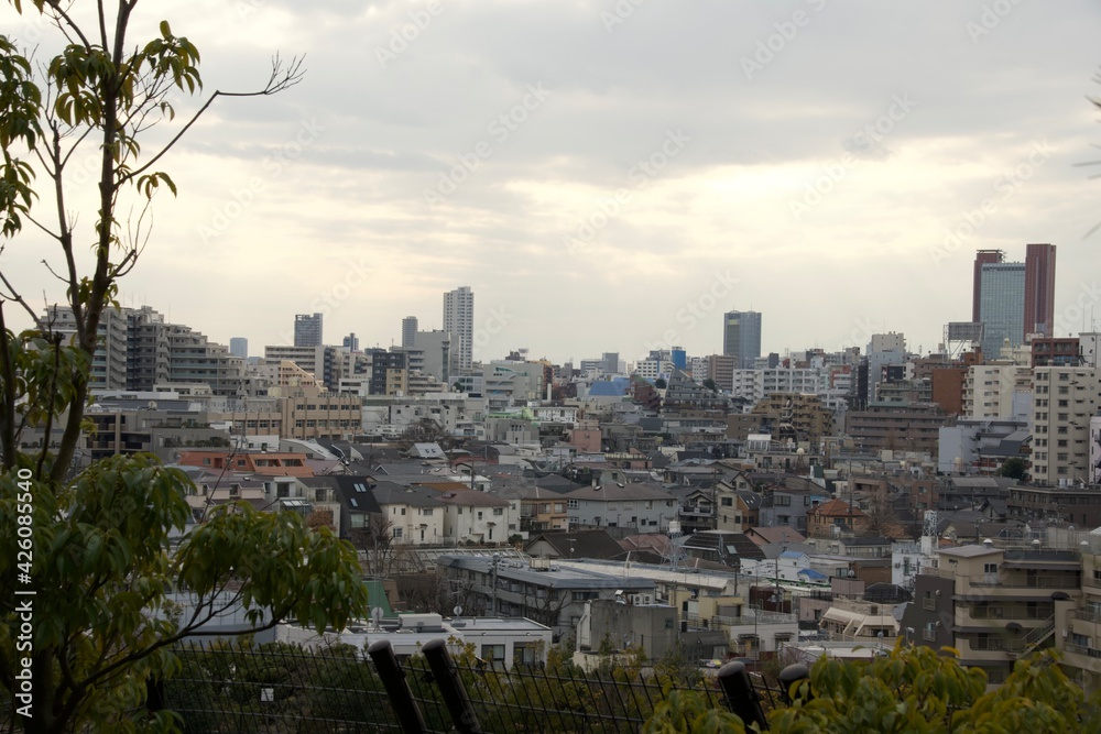 Obraz premium city skyline