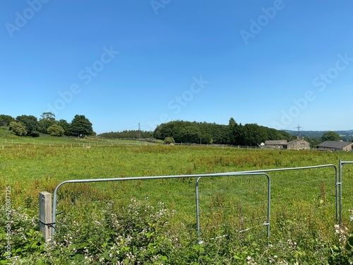 View across the fields, with wild plants, trees, and farms near, Dawson Wood, Bradford, UK