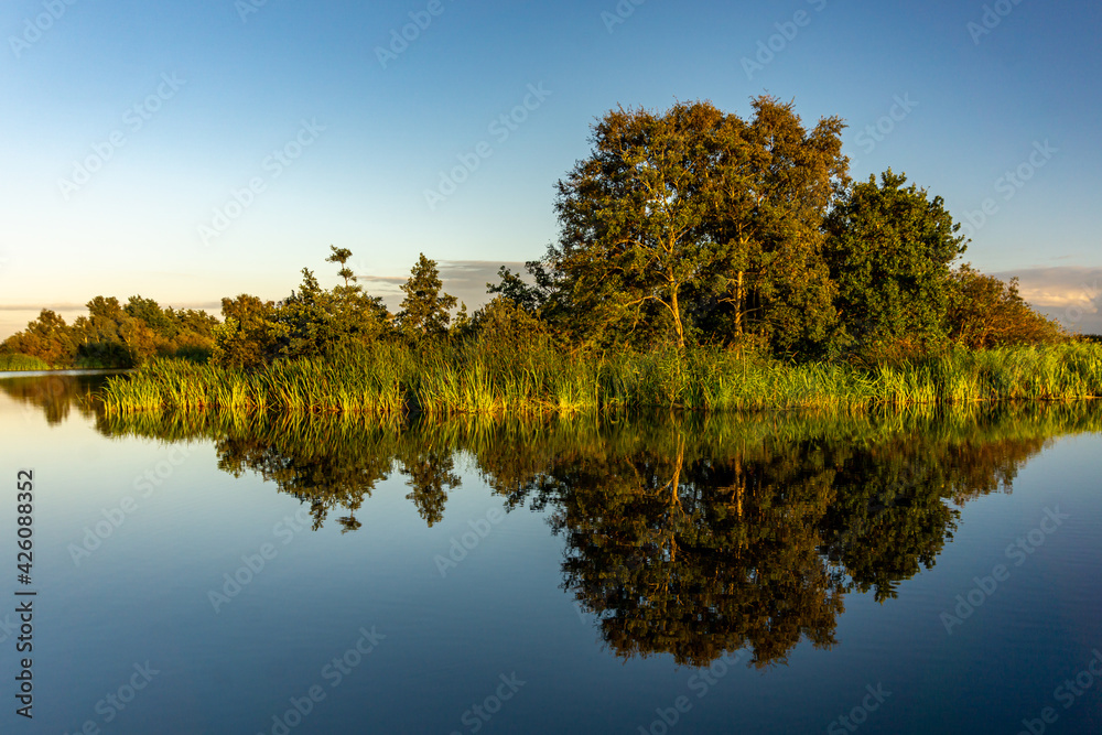 Trees and plants on the waterside wich reflect in the lake in the morning light in Giethoorn, the Netherlands.