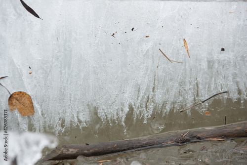 thick ice, ice floe, snow, winter, cold, nature, landscape, ice, white, tree,...
