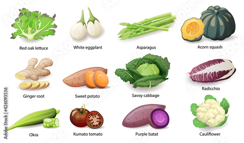 Vegetables with caption titles set, vector flat style illustration.