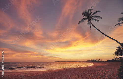 Tropical beach at a beautiful colorful sunset  Sri Lanka.