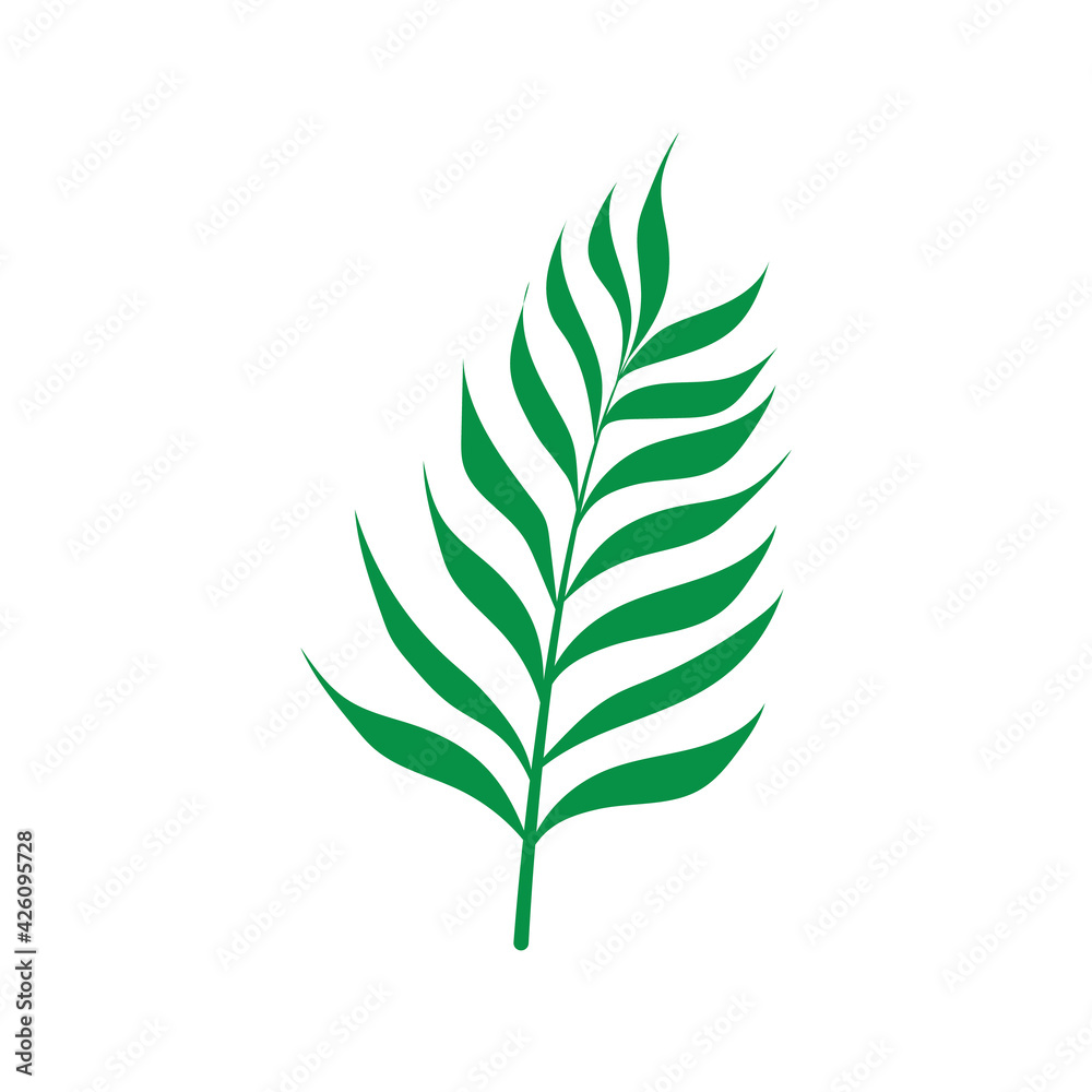 Palm leaf isolated on white background. Vector icon.
