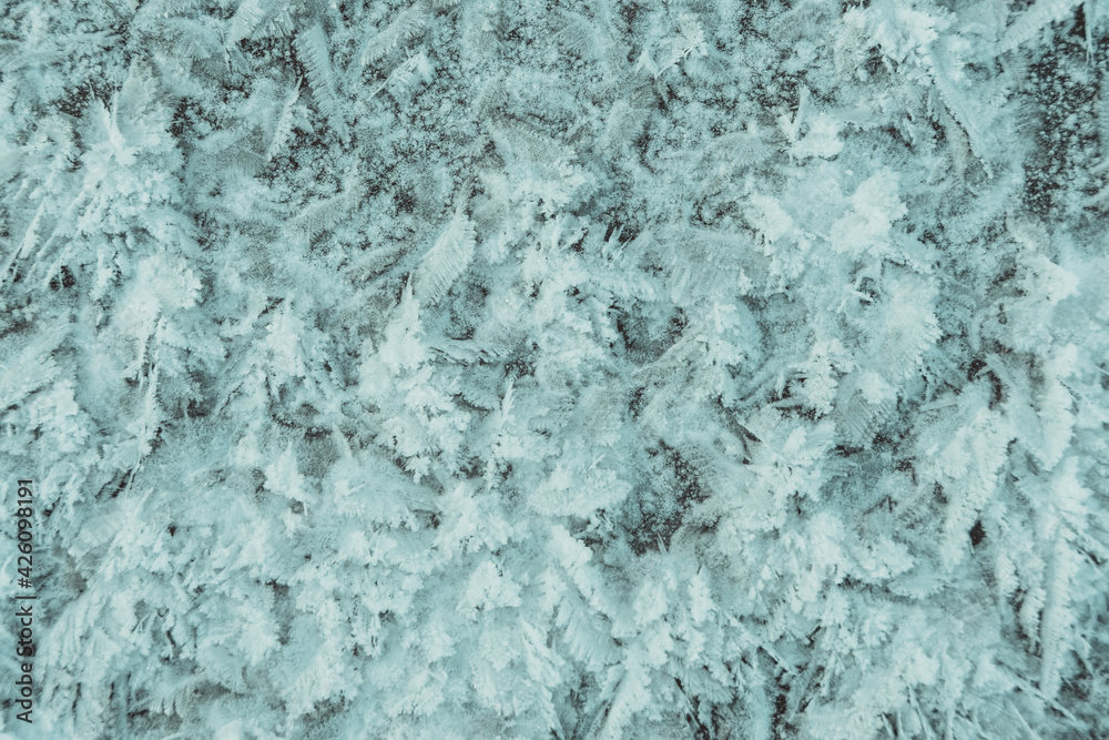 Fototapeta premium Fresh white snow and frost background structure