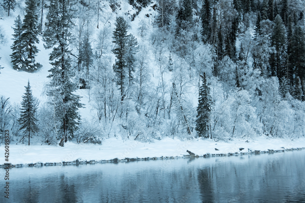Obraz premium Snow forest on Bank of winter river. Reflection of frost trees in water.