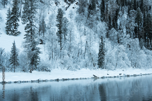 Snow forest on Bank of winter river. Reflection of frost trees in water. © Koirill