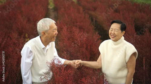 Asian seniro couple love and fun laugh while holding hand in red flower field winter photo