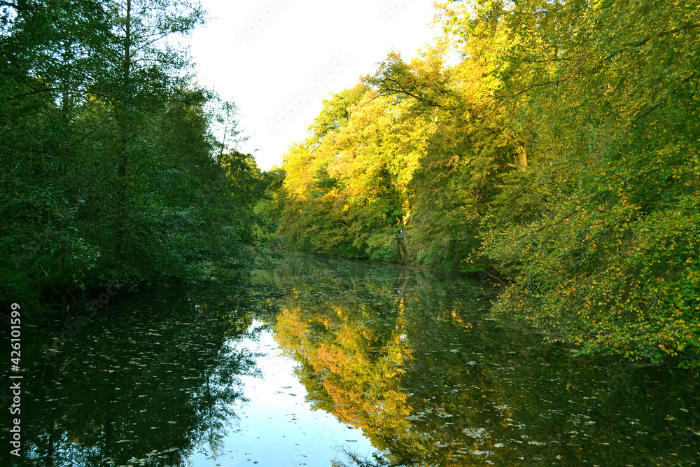 Fototapeta premium Bäume Landschaft See Gewässer