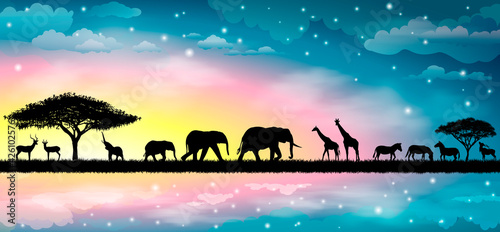 Savannah animals 1. Silhouettes of wild animals of the African savannah. Beautiful sunset. Sky, stars, clouds