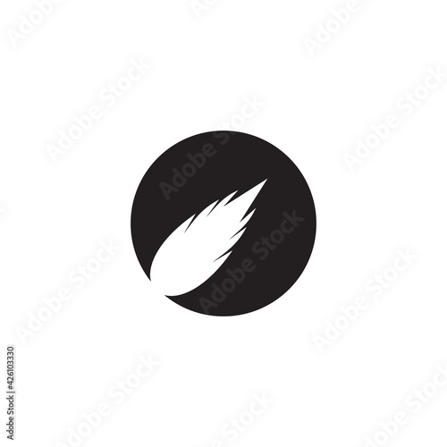 Moving meteor logo design template