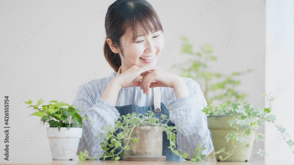 室内で観葉植物の手入れをしている女性 室内で観葉植物の手入れをしている女性