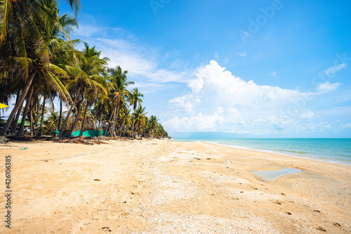 Beautiful brown sand beach with coconut trees  clear sea water and blue sky with white cloud.