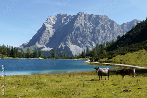 Zugspitze mountain and lake Seebensee view in Tyrol, Austria © BirgitKorber