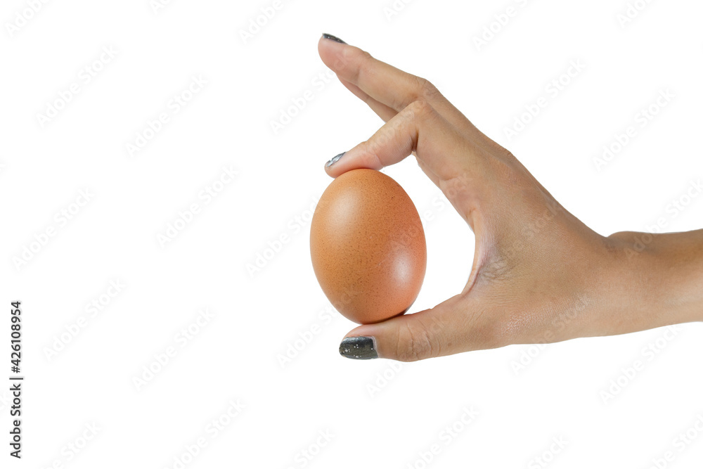 Isolated Asian women hand holding gold egg on white background, with copy space for message. clipping path. Isolated Asian women hand holding gold egg on white background, with copy space for message. clipping path.