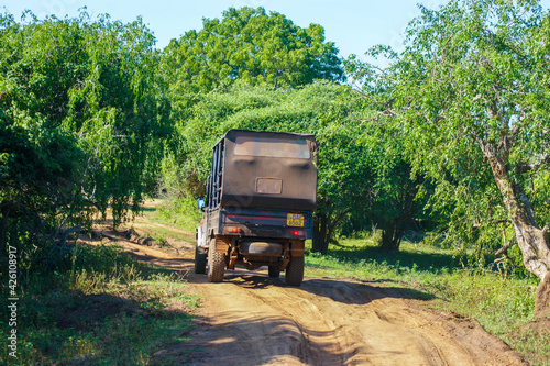 Big vehicle making a safari in Sri Lanka, south east asia on a green landscape.