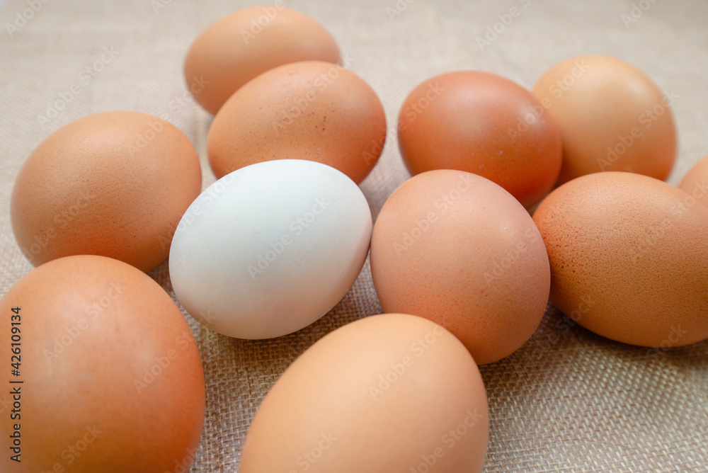 A white egg inside many egg on sack background. chicken egg inside duck egg or Different human in the social or different business concept. Selective focus. Life of Alone concept. A white egg inside many egg on sack background. chicken egg inside duck egg or Different human in the social or different business concept. Selective focus. Life of Alone concept.