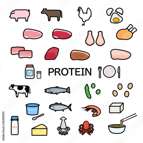 たんぱく質の食品のイラストセット