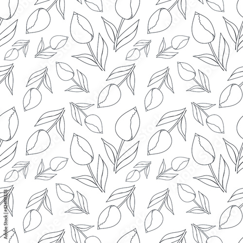 Vector seamless pattern with tulips flowers ans leaves arranged chaotically on white background. Doodle style