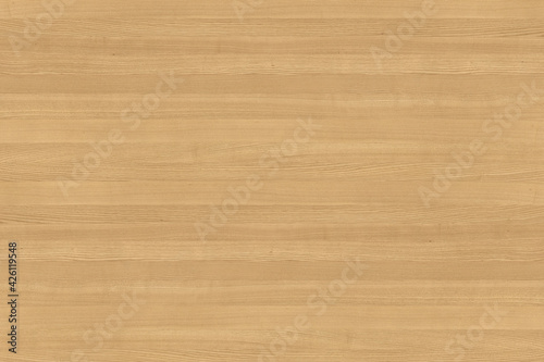 ash-tree wooden background texture structure backdrop